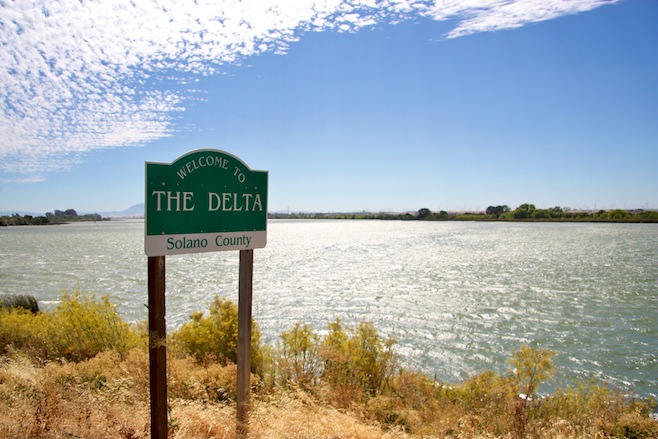 The Delta